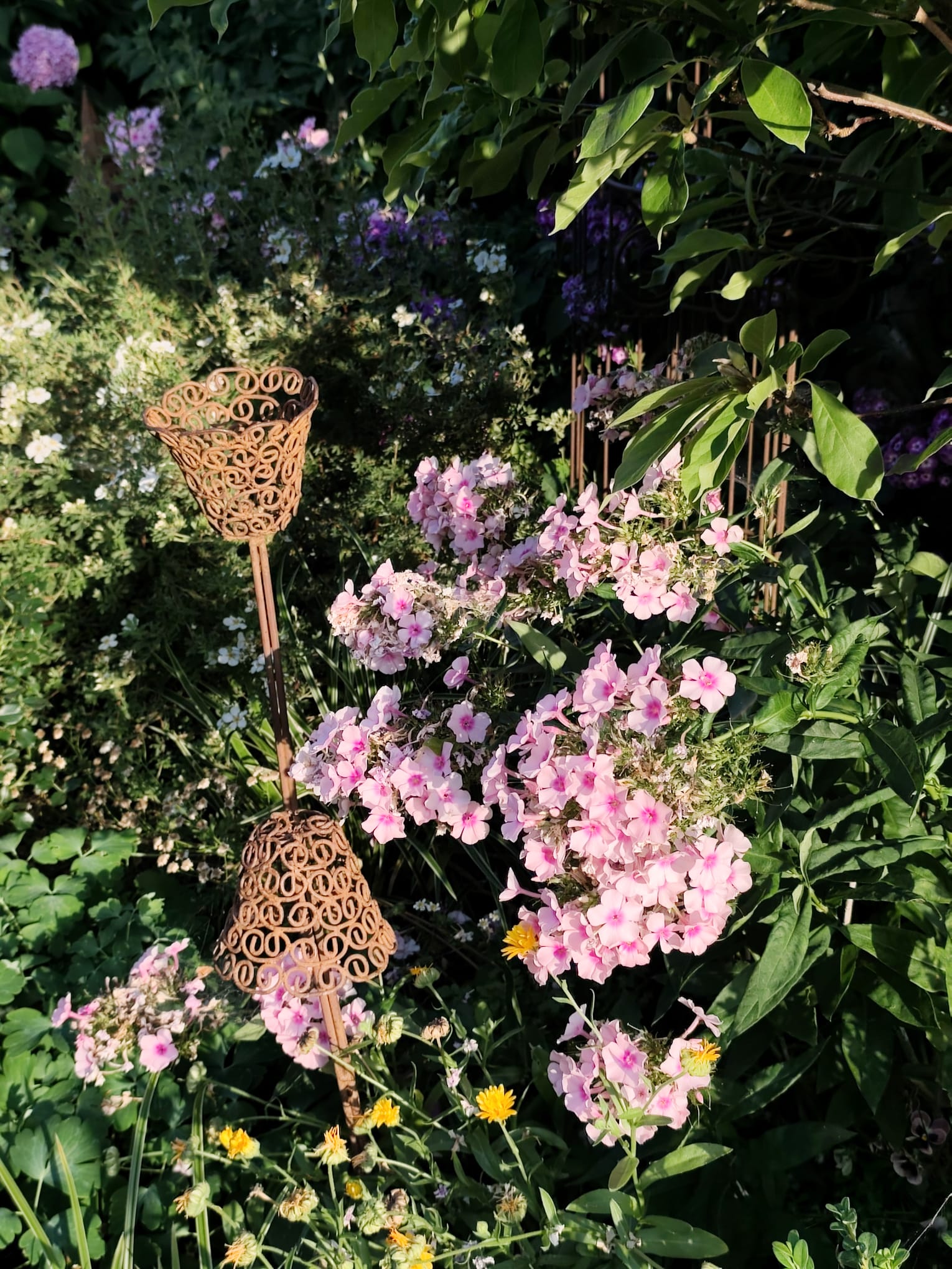 Gartenratsch